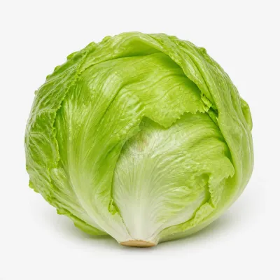 Lechuga repollada
