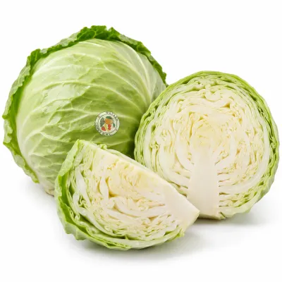 Imagen ilustrativa de repollo blanco para catálogo mayorista